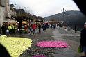 IMG_5486-1