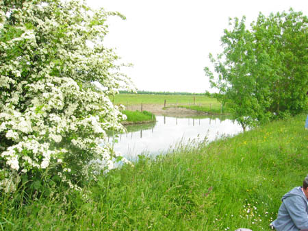 Veniseverte100506 025