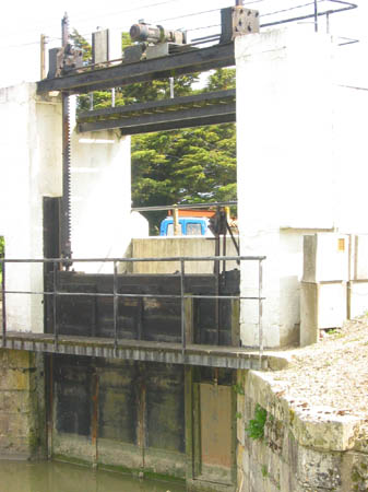 Veniseverte100506 029