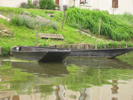 Venisevertebarque 018