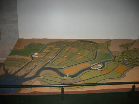 Venisevertebarque 024