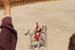 PUYDUFOU 008