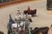 PUYDUFOU 031
