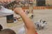 PUYDUFOU 033