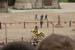 PUYDUFOU 067
