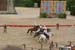 PUYDUFOU 075