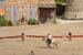 PUYDUFOU 081